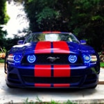 2015-2017 Ford Mustang Lighting & Blackouts 2015-2017 Ford Mustang Lighting & Blackouts