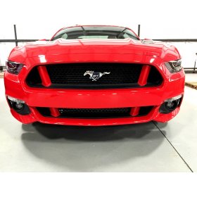 2015-2017 Ford Mustang Painted Grille Pillar Covers